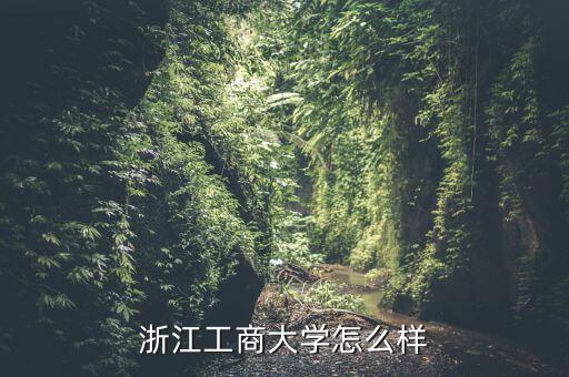 浙江工商大學怎么樣