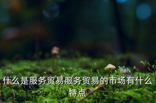 什么是跨境交付,什么是服務(wù)貿(mào)易