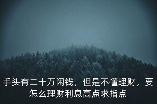 手頭有二十萬閑錢，但是不懂理財(cái)，要怎么理財(cái)利息高點(diǎn)求指點(diǎn)