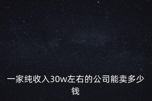 一家純收入30w左右的公司能賣多少錢