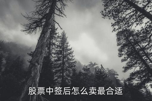 股票中簽后怎么賣最合適