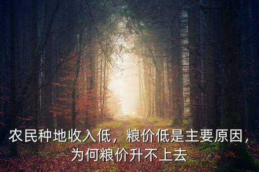 糧價過低是什么原因,糧價低是主要原因