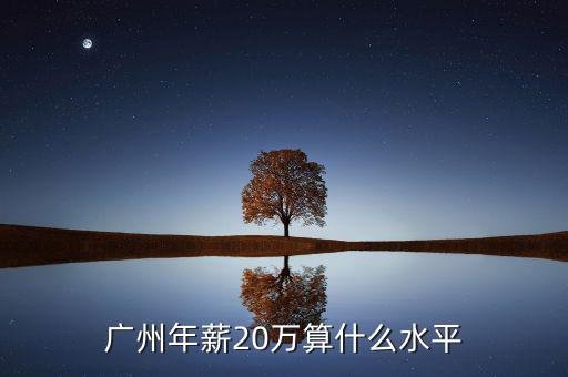 廣州年薪20萬算什么水平