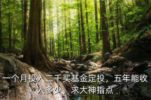 一個(gè)月投入二千買基金定投，五年能收入多少，求大神指點(diǎn)