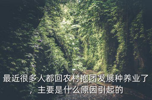 最近很多人都回農(nóng)村抱團(tuán)發(fā)展種養(yǎng)業(yè)了，主要是什么原因引起的