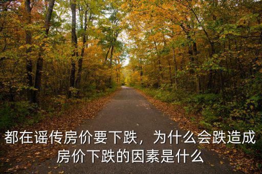 房價(jià)會跌的原因是什么,造成房價(jià)下跌的因素是什么