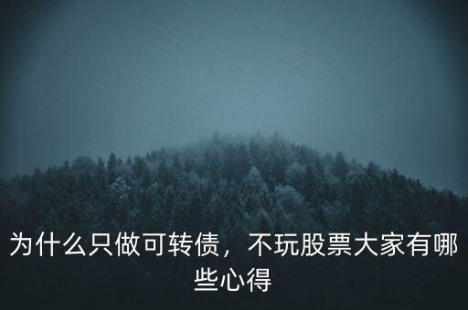 為什么只做可轉(zhuǎn)債，不玩股票大家有哪些心得