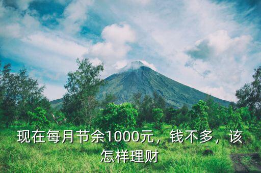 現(xiàn)在每月節(jié)余1000元，錢不多，該怎樣理財