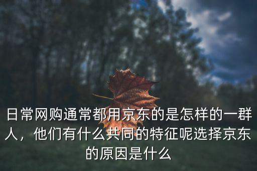 日常網(wǎng)購?fù)ǔ６加镁〇|的是怎樣的一群人，他們有什么共同的特征呢選擇京東的原因是什么