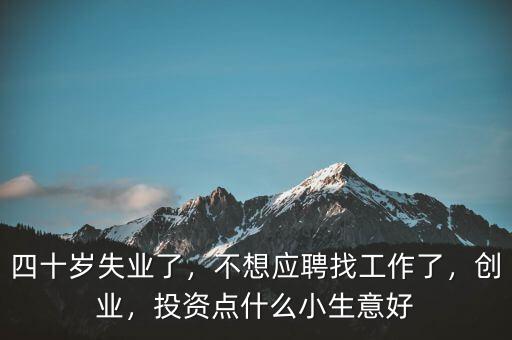 四十歲失業(yè)了，不想應(yīng)聘找工作了，創(chuàng)業(yè)，投資點(diǎn)什么小生意好