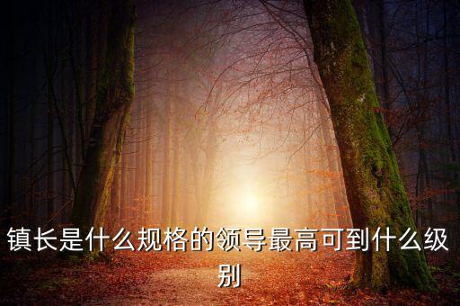 王洪章是什么級(jí)別,最高可到什么級(jí)別