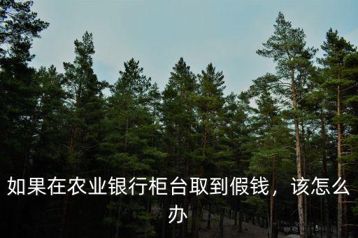 如果在農(nóng)業(yè)銀行柜臺(tái)取到假錢(qián)，該怎么辦