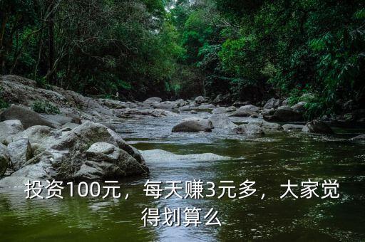 投資100元，每天賺3元多，大家覺得劃算么