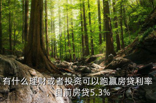 有什么理財或者投資可以跑贏房貸利率，目前房貸5.3%