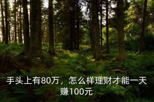 手頭上有80萬，怎么樣理財(cái)才能一天賺100元