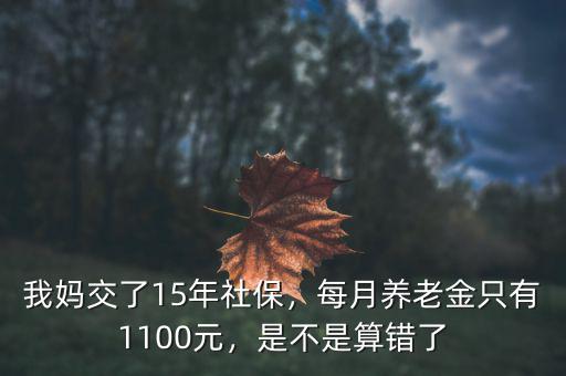 我媽交了15年社保，每月養(yǎng)老金只有1100元，是不是算錯了