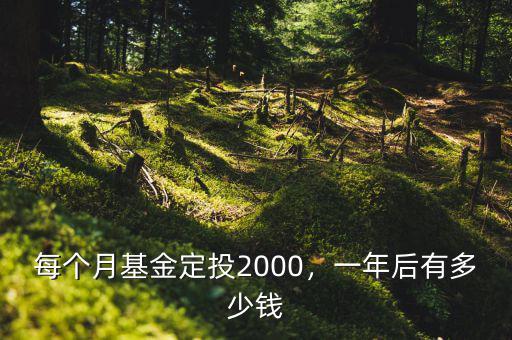 每個(gè)月基金定投2000，一年后有多少錢