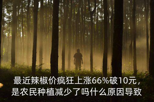 最近辣椒價(jià)瘋狂上漲66%破10元，是農(nóng)民種植減少了嗎什么原因?qū)е? class=