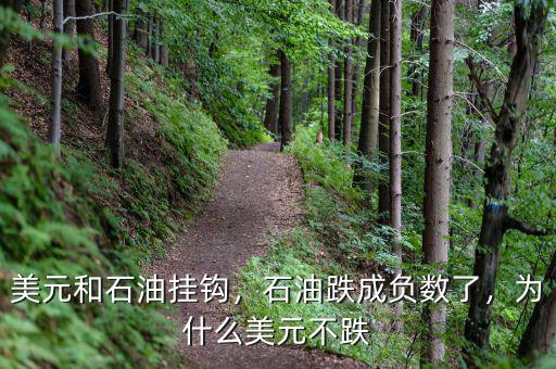 美元和石油掛鉤，石油跌成負(fù)數(shù)了，為什么美元不跌