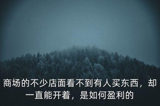 商場的不少店面看不到有人買東西，卻一直能開著，是如何盈利的