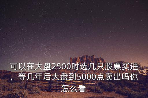 可以在大盤2500時(shí)選幾只股票買進(jìn)，等幾年后大盤到5000點(diǎn)賣出嗎你怎么看