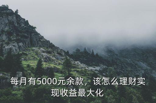 每月有5000元余款，該怎么理財實現(xiàn)收益最大化