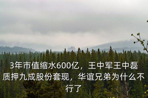 3年市值縮水600億，王中軍王中磊質(zhì)押九成股份套現(xiàn)，華誼兄弟為什么不行了