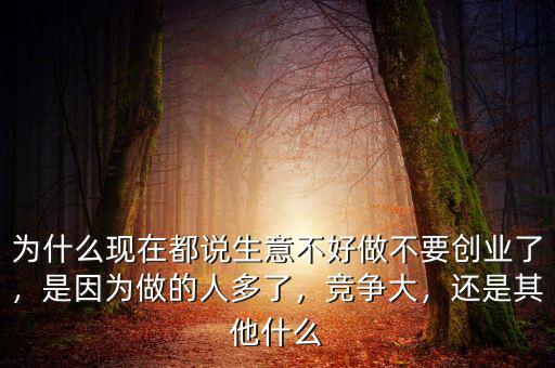 為什么現(xiàn)在都說生意不好做不要?jiǎng)?chuàng)業(yè)了，是因?yàn)樽龅娜硕嗔?，競爭大，還是其他什么