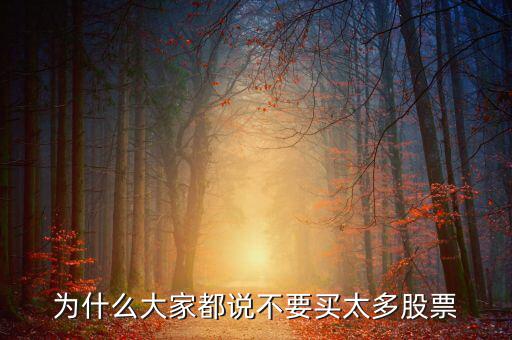 為什么股票不能買(mǎi),為什么基金持有的股票不能買(mǎi)