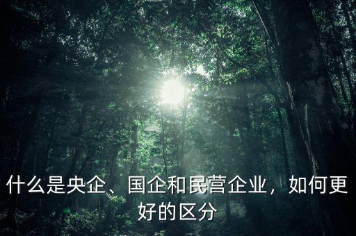 什么是央企、國企和民營企業(yè)，如何更好的區(qū)分