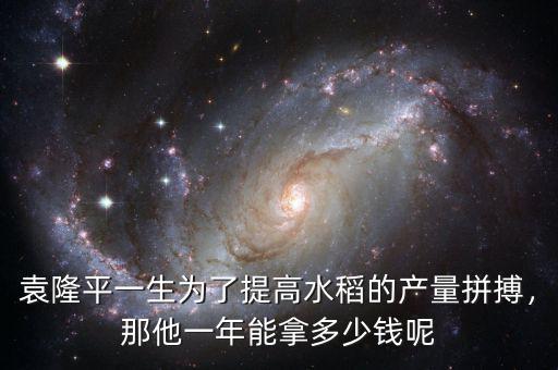 袁隆平一生為了提高水稻的產(chǎn)量拼搏，那他一年能拿多少錢呢