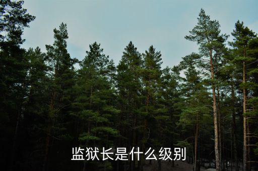 王宜林什么級(jí)別,快退休公務(wù)員一般是什么級(jí)別