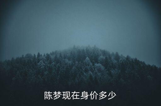 陳夢現(xiàn)在身價多少