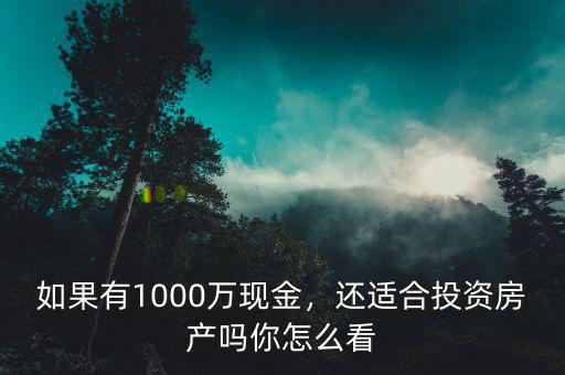 有1000萬怎么投資,如果有1000萬