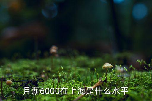 月薪6000在上海是什么水平