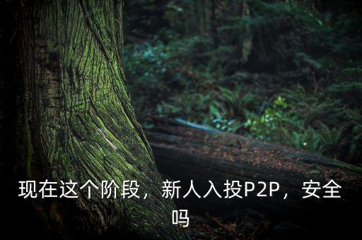 現(xiàn)在這個(gè)階段，新人入投P2P，安全嗎