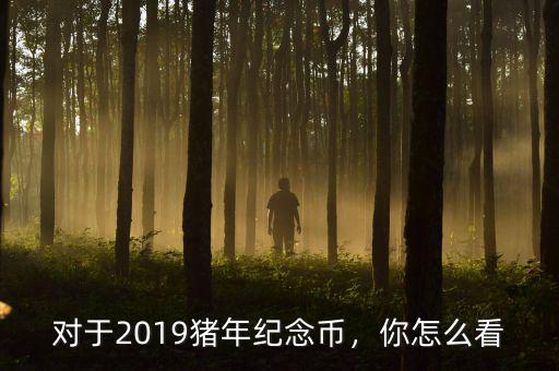 對于2019豬年紀念幣，你怎么看