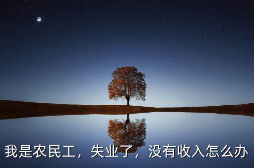 我是農(nóng)民工，失業(yè)了，沒有收入怎么辦