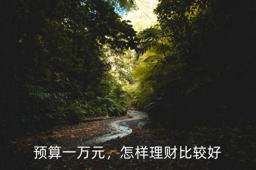 預(yù)算一萬元，怎樣理財(cái)比較好