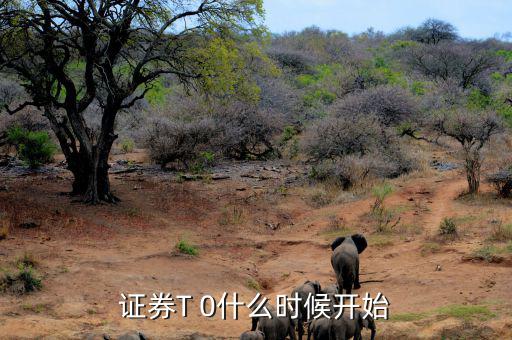 中園股市要加入國(guó)際什么時(shí)候,證券T 0什么時(shí)候開(kāi)始