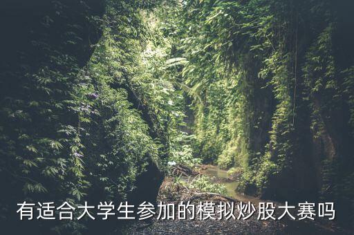 有適合大學(xué)生參加的模擬炒股大賽嗎