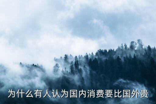 為什么有人認為國內(nèi)消費要比國外貴