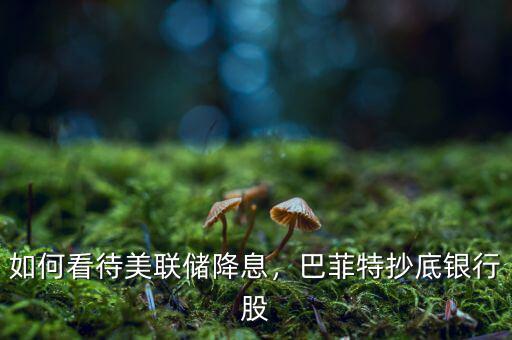 如何看待美聯(lián)儲(chǔ)降息，巴菲特抄底銀行股