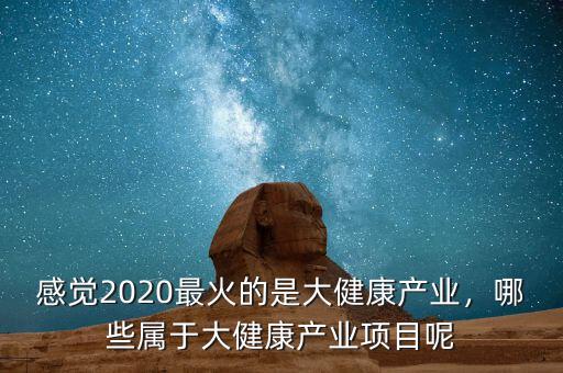 感覺(jué)2020最火的是大健康產(chǎn)業(yè)，哪些屬于大健康產(chǎn)業(yè)項(xiàng)目呢