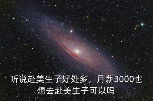 聽說赴美生子好處多，月薪3000也想去赴美生子可以嗎