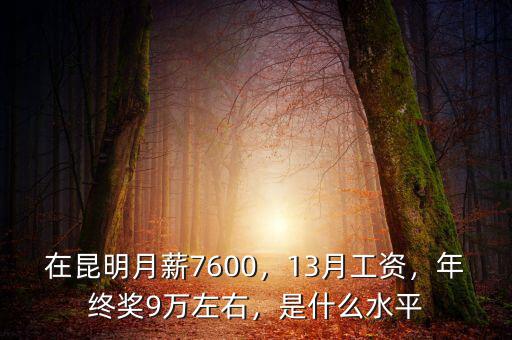 在昆明月薪7600，13月工資，年終獎(jiǎng)9萬左右，是什么水平