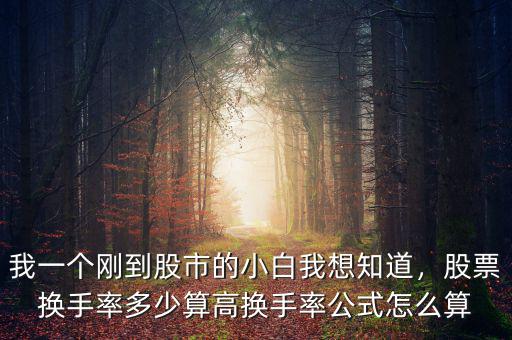 股票換手率怎么計算,股票換手率怎么計算的