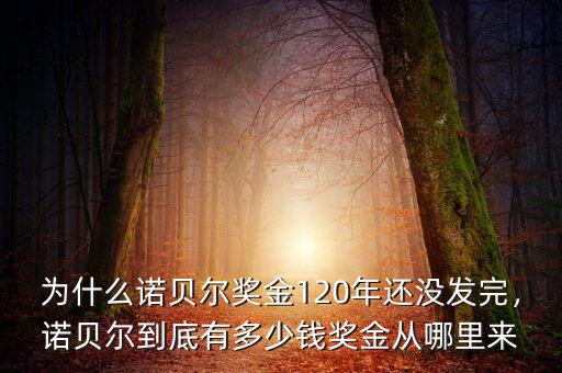 為什么諾貝爾獎(jiǎng)金120年還沒發(fā)完，諾貝爾到底有多少錢獎(jiǎng)金從哪里來