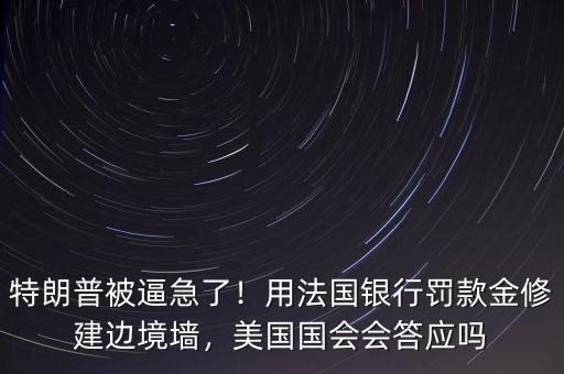 巴黎銀行為什么會(huì)遭罰款,用法國銀行罰款金修建邊境墻