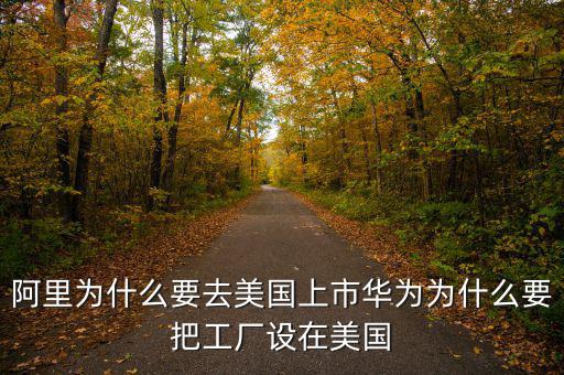 為什么阿里巴巴要跑去國(guó)外上市,阿里為什么要去美國(guó)上市